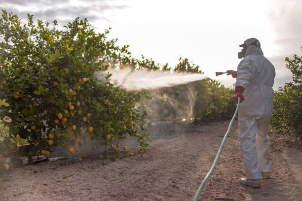 Best Flea Control Services  in Cape Canaveral, FL