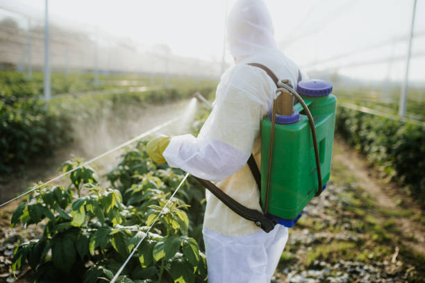 Best Termite Control Services  in Cape Canaveral, FL